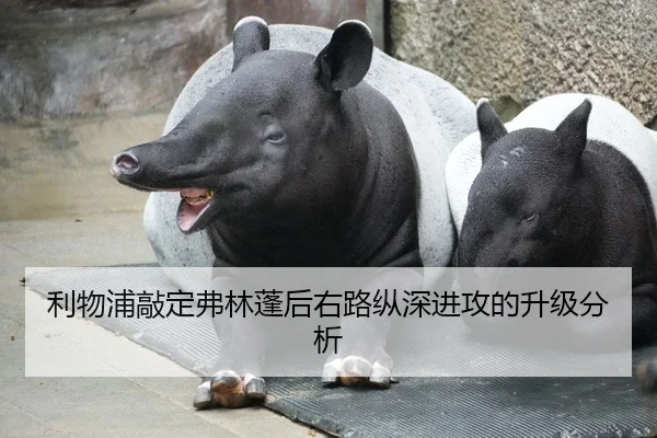li-wu-pu-qiao-ding-fu-lin-peng-hou-you-lu-zong-shen-jin-gong-de-sheng-ji-fen-xi-2-625.jpg