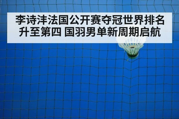 badminton net play